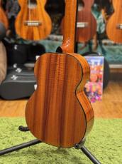 Kamaka HF-3D2_4