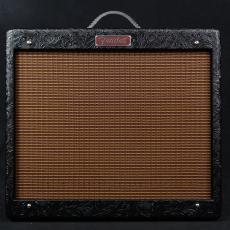 Fender Blues Junior IV 30th Anniversary 100V JP_2