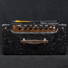 Fender Blues Junior IV 30th Anniversary 100V JP_6