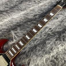 Burny SG-75AY WR_2
