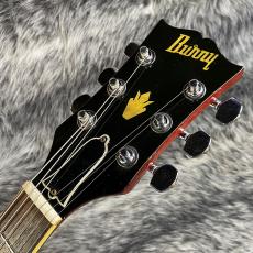 Burny SG-75AY WR_3