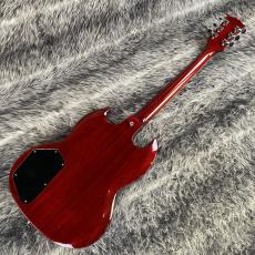 Burny SG-75AY WR_9