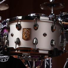 Mapex ARTIST COLLECTION / AQUILES PRIESTER "PSYCHOCTOPUS" [ACMP4800LPG]