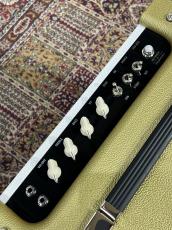 Divided by 13 CCC9/15 - White Bronco Tolex / Gold Tolex -_4