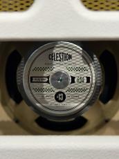 Divided by 13 CCC9/15 - White Bronco Tolex / Gold Tolex -_8