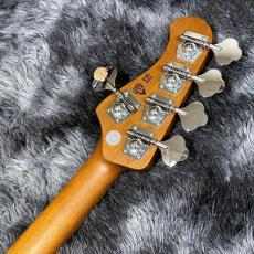 Bacchus WL5-STD33-AC RSM/M BLK -Global Series- 【特価】 【アクティブ5弦ベース】_6