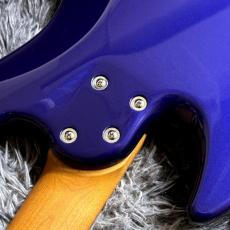 Bacchus WJB5-1MS-DX-AC RSM/M IPM -Universe Series- 【特価】【マルチスケール】_7