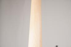 Sire V7 Ash-5 Reissue -Transparent Black Satin- [4.72kg]_10