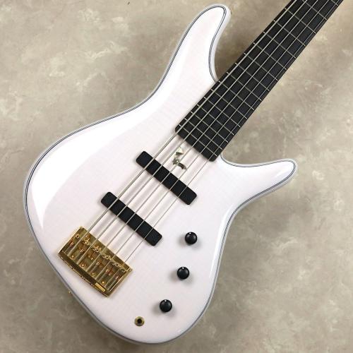Sugi NB5E FM/AH2P