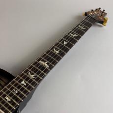 Paul Reed Smith [PRS] Mark Tremonti Signature Trem 10Top_3