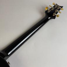 Paul Reed Smith [PRS] Mark Tremonti Signature Trem 10Top_7