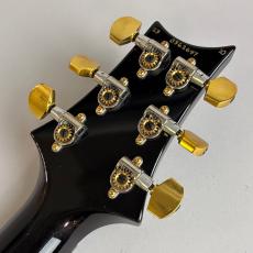 Paul Reed Smith [PRS] Mark Tremonti Signature Trem 10Top_8