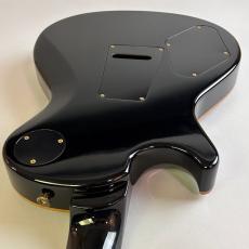 Paul Reed Smith [PRS] Mark Tremonti Signature Trem 10Top_10