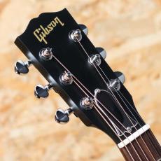 Gibson L-00 Special VS_8