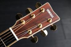 YAMAHA LL36　ARE　オール単板　極薄塗装　お買得中古　新品価格462,000円　LL-36_2