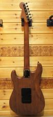 SCHECTER ST-type_3