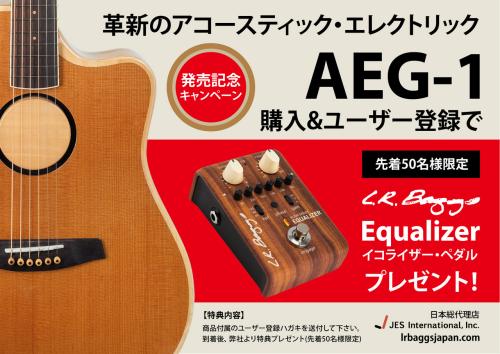 L.R.Baggs 【L.R.Baggs Equalizerプレゼント!!】AEG-1 TOR(トリファイド・シトカ・スプルース)
