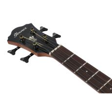 Ibanez AEGB25E-TKH《アコースティック・ベース》【オンラインストア限定】_7