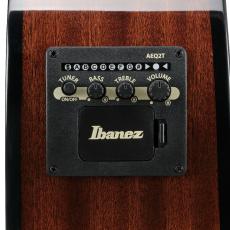 Ibanez AEGB25E-TKH《アコースティック・ベース》【オンラインストア限定】_9