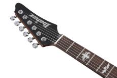 Ibanez #NAME?_6