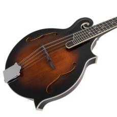 Blanton BM-35F F-modelマンドリン 新品 フラットマンドリン【オンラインストア限定】_2