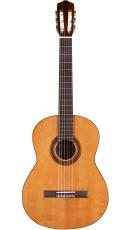 Cordoba Cordoba C5Limited 【オンラインストア限定】