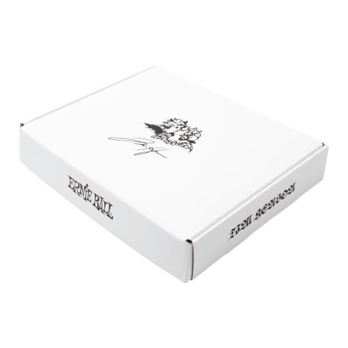 ERNIE BALL Tim Henson Signature Strings & Accessories Bundle【オンラインストア限定】