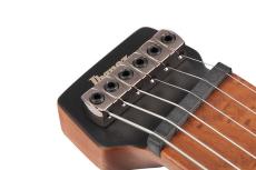 Ibanez Q52PB -ABS (Antique Brown Stained)-【オンラインストア限定】_3