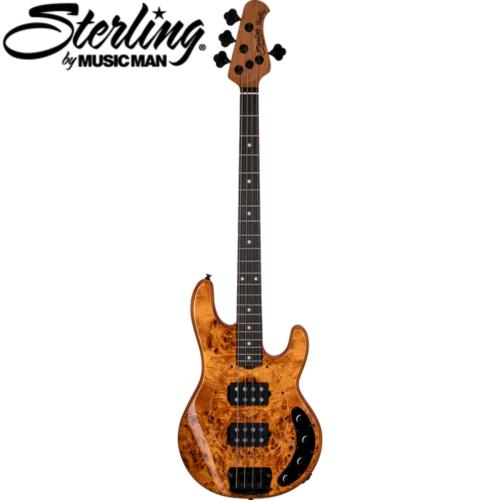 Sterling by MUSIC MAN RAY34HH AMBER 