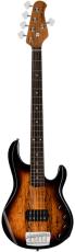 Sterling by MUSIC MAN RAY35SM-3TS-R2 3-TONE SUNBURST_2