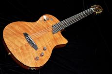 Cordoba STAGE GUITAR_2