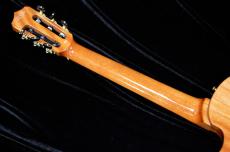 Cordoba STAGE GUITAR_5
