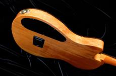 Cordoba STAGE GUITAR_8