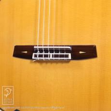 Masaki Sakurai（桜井ギター） P.C. Cutaway_11