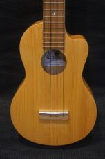 Quiam Ezo's Ukulele Through neck Concert_2