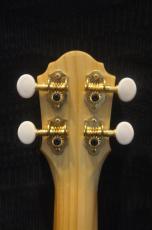 Quiam Ezo's Ukulele Through neck Concert_6