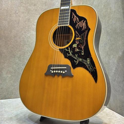 Epiphone 【ボーナスセール!!～8/31迄】【試奏動画あり】Masterbilt Excellente #24022301843【深みある低音・艶やかな高音】【送料当社負担】【池袋店在庫品】