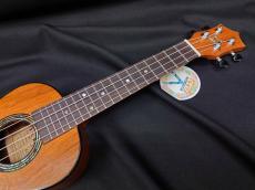 KUMU CM-54A_7
