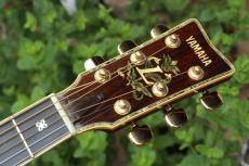 YAMAHA L-55 Custom_10