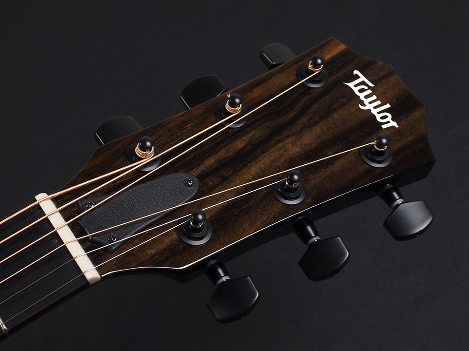 Taylor 214CE 希少ブラック 低弦高 調整済 Taylor 214ce-BLK Plus ~Black~ 2024年 新品 1282022 Taylor