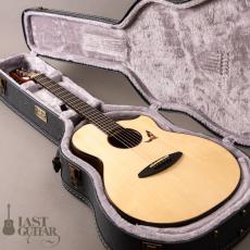 aNueNue aNN-LS Seiji Igusa_13