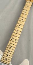 FUJIGEN NTE100MAHT ~White Blonde~ #H250151 ≒3.15kg_3