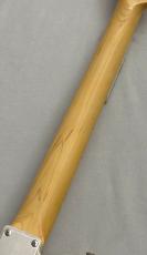 FUJIGEN NTE100MAHT ~White Blonde~ #H250151 ≒3.15kg_9