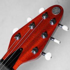 Kz Guitar Works KZ RS Hybrid Junior w/Kz Treble Booster Mod_8