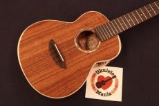 aNueNue aNN-AAA2 Solid Acacia Gloss Concert with Paua Shell Rosette Ukulele #5657