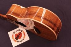 aNueNue aNN-AAA2 Solid Acacia Gloss Concert with Paua Shell Rosette Ukulele #5657_2