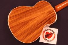 aNueNue aNN-AAA2 Solid Acacia Gloss Concert with Paua Shell Rosette Ukulele #5657_3