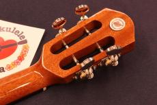 aNueNue aNN-AAA2 Solid Acacia Gloss Concert with Paua Shell Rosette Ukulele #5657_7