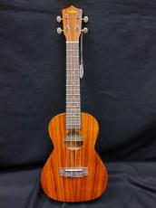 ARIA ACU-1KE