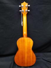 ARIA ACU-1KE_2